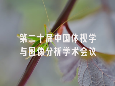 第二十届中国体视学与图像分析学术会议