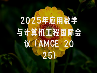 2025年应用数学与计算机工程国际会议（AMCE 2025）