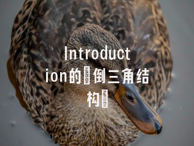 Introduction的”倒三角结构”