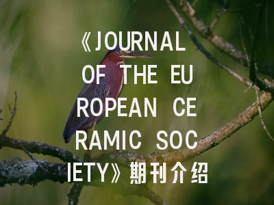 《JOURNAL OF THE EUROPEAN CERAMIC SOCIETY》期刊介绍与投稿策略