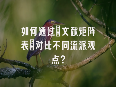 如何通过”文献矩阵表”对比不同流派观点？