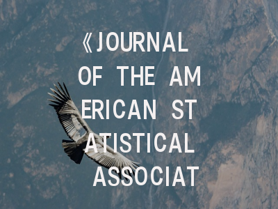 《JOURNAL OF THE AMERICAN STATISTICAL ASSOCIATION》投稿全攻略：从领域定位到创新性提升