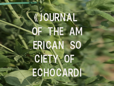 《JOURNAL OF THE AMERICAN SOCIETY OF ECHOCARDIOGRAPHY》期刊介绍与投稿策略解析