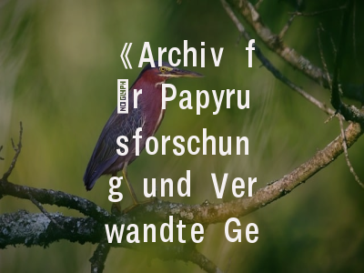 《Archiv für Papyrusforschung und Verwandte Gebiete》百年传承与当代价值_纸草学研究的学术灯塔