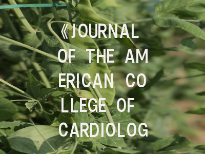 《JOURNAL OF THE AMERICAN COLLEGE OF CARDIOLOGY》期刊介绍与投稿策略全解析