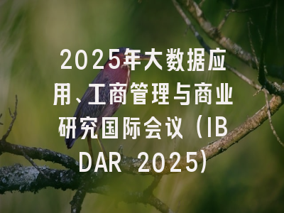 2025年大数据应用、工商管理与商业研究国际会议（IBDAR 2025）