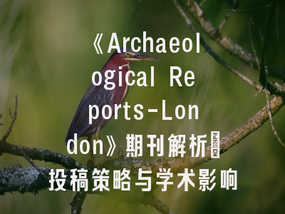 《Archaeological Reports-London》期刊解析_投稿策略与学术影响力构建
