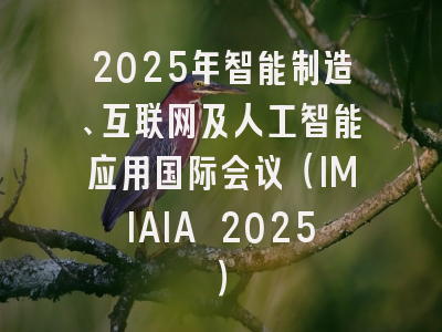 2025年智能制造、互联网及人工智能应用国际会议（IMIAIA 2025）