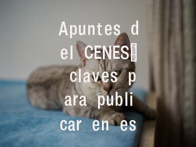 Apuntes del CENES_ claves para publicar en esta plataforma académica