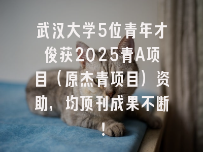 武汉大学5位青年才俊获2025青A项目（原杰青项目）资助，均顶刊成果不断！