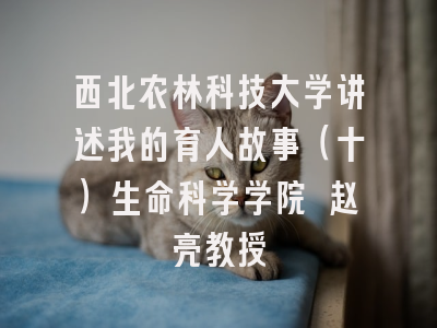 西北农林科技大学讲述我的育人故事（十）生命科学学院 赵亮教授