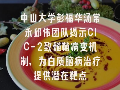 中山大学彭福华汤常永邱伟团队揭示ClC-2致髓鞘病变机制，为白质脑病治疗提供潜在靶点