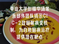学术会议在线