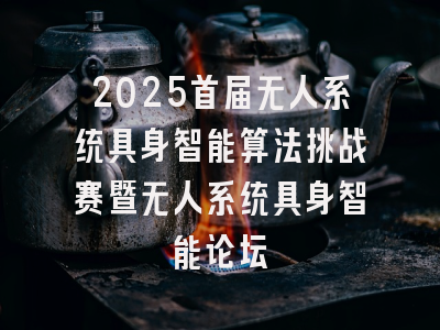 2025首届无人系统具身智能算法挑战赛暨无人系统具身智能论坛