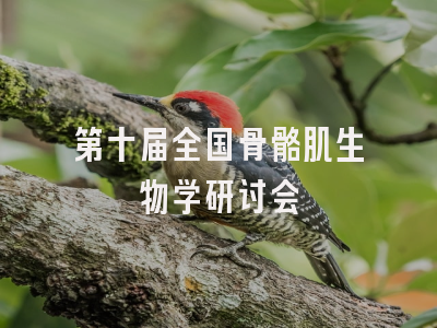第十届全国骨骼肌生物学研讨会