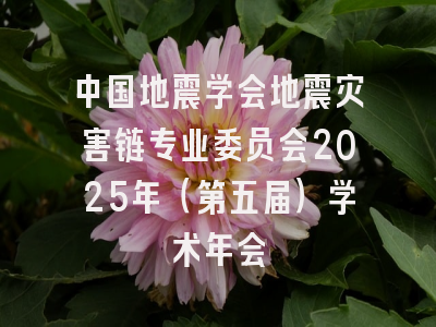 中国地震学会地震灾害链专业委员会2025年（第五届）学术年会