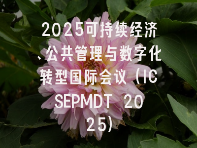 2025可持续经济、公共管理与数字化转型国际会议（ICSEPMDT 2025）