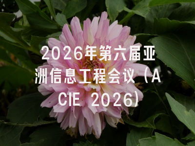2026年第六届亚洲信息工程会议（ACIE 2026）