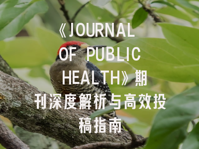 《JOURNAL OF PUBLIC HEALTH》期刊深度解析与高效投稿指南
