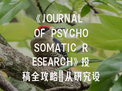 《JOURNAL OF PSYCHOSOMATIC RESEARCH》投稿全攻略：从研究设计到论文发表的核心策略