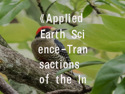 《Applied Earth Science-Transactions of the Institutions of Mining and Metallurgy》期刊解析：科研人员的投稿指南