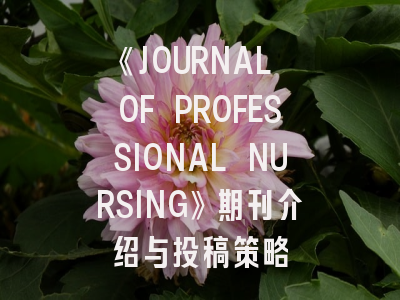 《JOURNAL OF PROFESSIONAL NURSING》期刊介绍与投稿策略