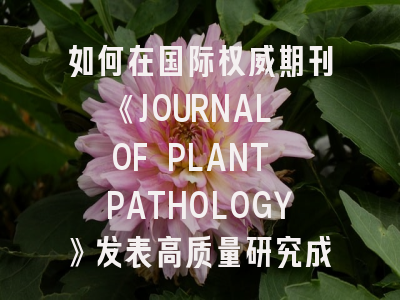 如何在国际权威期刊《JOURNAL OF PLANT PATHOLOGY》发表高质量研究成果？