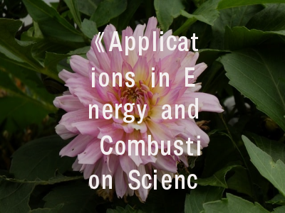 《Applications in Energy and Combustion Science》期刊介绍与投稿建议——破解顶尖学术平台的成功密码