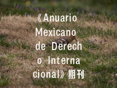 《Anuario Mexicano de Derecho Internacional》期刊解析：投稿策略与学术价值评估