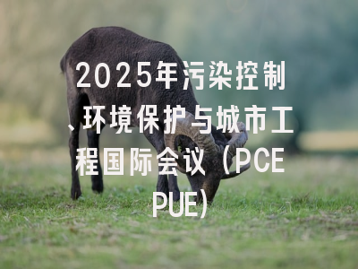 2025年污染控制、环境保护与城市工程国际会议（PCEPUE）