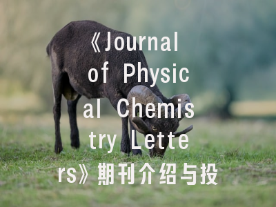 《Journal of Physical Chemistry Letters》期刊介绍与投稿策略：物理化学研究者的进阶指南