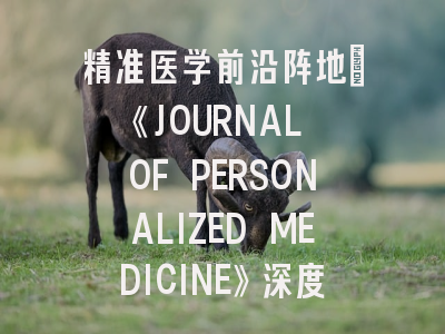 精准医学前沿阵地：《JOURNAL OF PERSONALIZED MEDICINE》深度解析与实战投稿指南