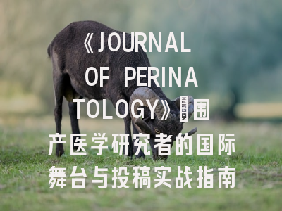 《JOURNAL OF PERINATOLOGY》：围产医学研究者的国际舞台与投稿实战指南