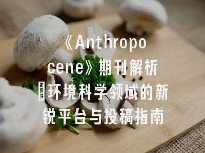 《Anthropocene》期刊解析_环境科学领域的新锐平台与投稿指南
