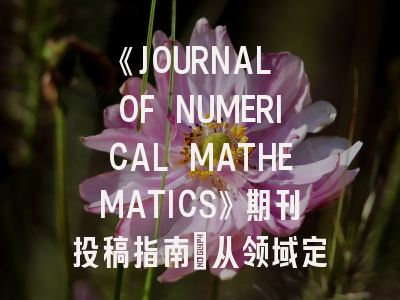 《JOURNAL OF NUMERICAL MATHEMATICS》期刊投稿指南：从领域定位到论文润色全解析