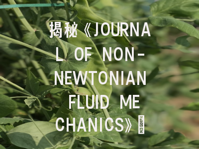 揭秘《JOURNAL OF NON-NEWTONIAN FLUID MECHANICS》：前沿动态与实战投稿指南