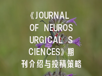 《JOURNAL OF NEUROSURGICAL SCIENCES》期刊介绍与投稿策略