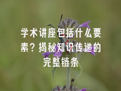 学术讲座包括什么要素？揭秘知识传递的完整链条