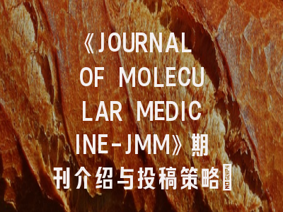 《JOURNAL OF MOLECULAR MEDICINE-JMM》期刊介绍与投稿策略：分子医学研究者的进阶指南