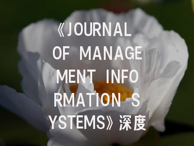 《JOURNAL OF MANAGEMENT INFORMATION SYSTEMS》深度解析：从领域定位到投稿实战指南