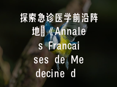 探索急诊医学前沿阵地：《Annales Francaises de Medecine d Urgence》投稿全攻略
