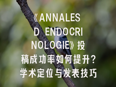 《ANNALES D ENDOCRINOLOGIE》投稿成功率如何提升？学术定位与发表技巧全解析