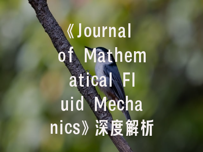 《Journal of Mathematical Fluid Mechanics》深度解析：如何高效投稿这本顶级期刊？
