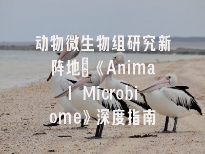动物微生物组研究新阵地：《Animal Microbiome》深度指南