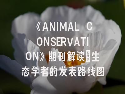 《ANIMAL CONSERVATION》期刊解读_生态学者的发表路线图