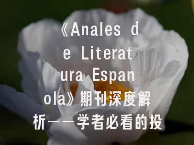 《Anales de Literatura Espanola》期刊深度解析——学者必看的投稿全攻略