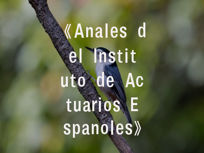 《Anales del Instituto de Actuarios Espanoles》_学术定位与投稿全攻略