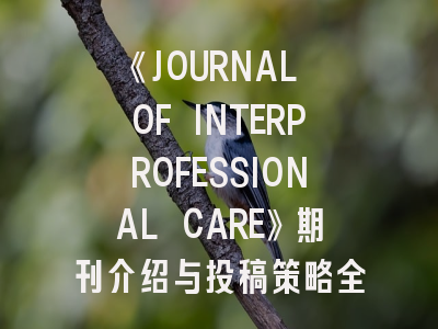 《JOURNAL OF INTERPROFESSIONAL CARE》期刊介绍与投稿策略全解析