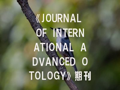 《JOURNAL OF INTERNATIONAL ADVANCED OTOLOGY》期刊深度解析与高效投稿攻略