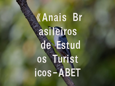 《Anais Brasileiros de Estudos Turisticos-ABET》期刊介绍与投稿建议——南美旅游研究的学术桥梁